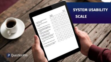 system usability scale
